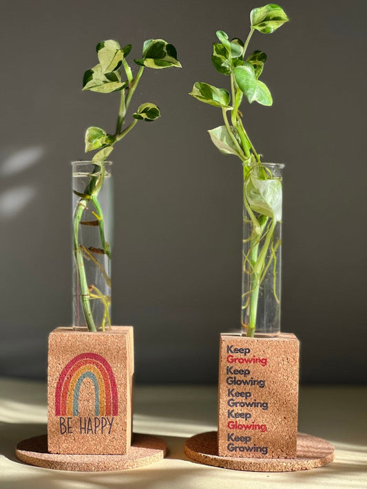 Be Happy Manifestation Soul Dreams